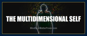 MULTIDIMENSIONAL SELF: HOW TO DRAW ON THE POWER & ABILITIES OF THE ENTITY, SOUL